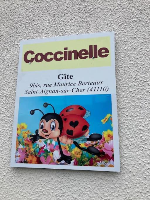 Coccinelle * Saint-Aignan (Loir-et-Cher)