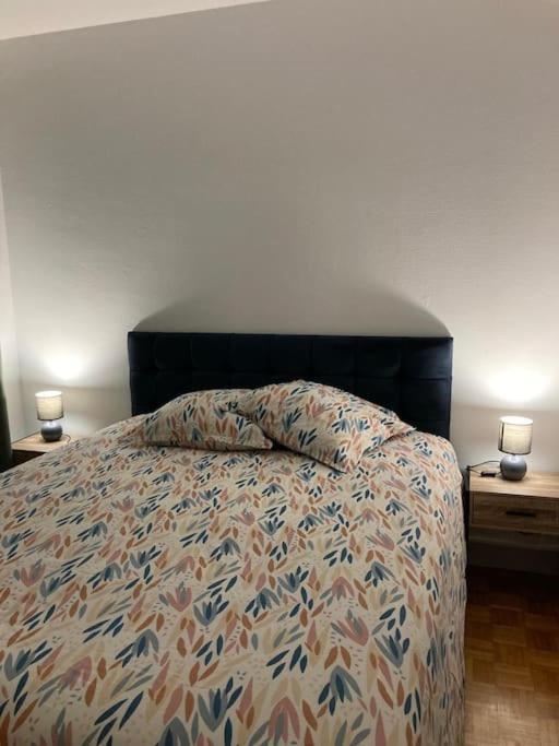 Coccinelle